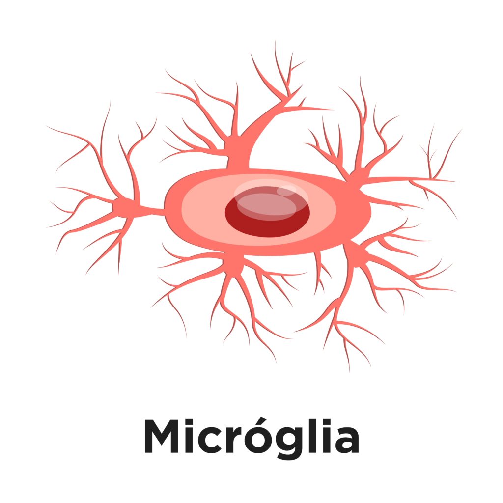 Microglia copy
